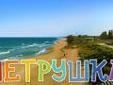 Без названия