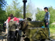 Без названия