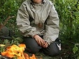 Без названия