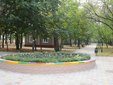 Без названия