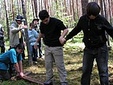 Без названия