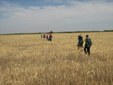 Без названия