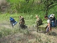 Без названия