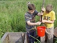 Без названия