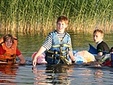 Без названия